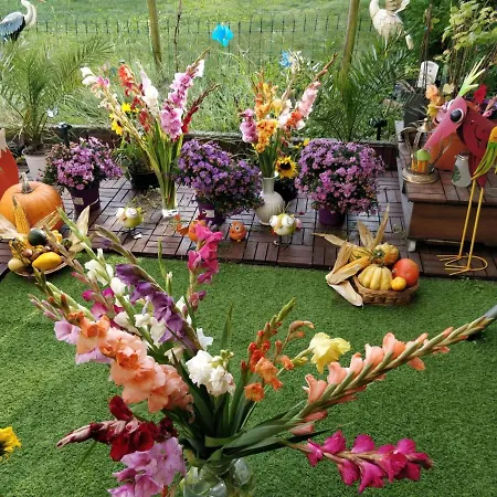 Gemuetliches In Ruhiger Umgebung In Privatwohnung 民宿